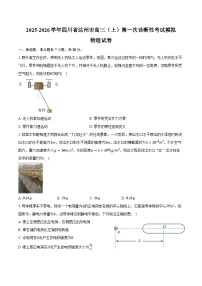 2025-2026学年四川省达州市高三（上）第一次诊断性考试模拟物理试卷（含答案）