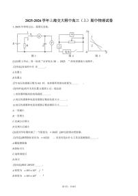 2025-2026学年上海交大附中高三（上）期中物理试卷（含答案）
