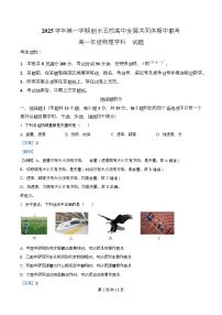 浙江省丽水发展共同体2025-2026学年高一上学期11月期中联考物理试卷（Word版附解析）