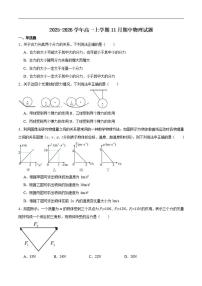 黑龙江省齐齐哈尔市六校联谊2025-2026高一上学期期中物理试卷及答案