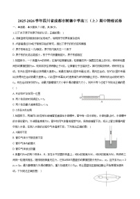 2025-2026学年四川省成都市树德中学高三（上）期中物理试卷（含答案）