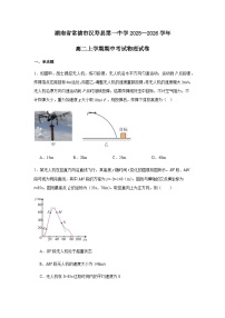 湖南省常德市汉寿县第一中学2025-2026学年高二上学期11月期中物理试题（含解析）含答案解析