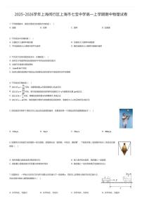 2025~2026学年上海闵行区上海市七宝中学高一上学期期中物理试卷（有答案解析）