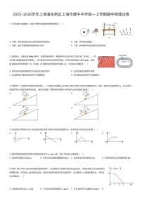 2025~2026学年上海浦东新区上海市建平中学高一上学期期中物理试卷（有答案解析）