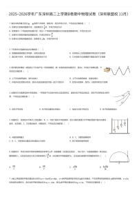 2025~2026学年广东深圳高二上学期B卷期中物理试卷（深圳联盟校 11月）（有答案解析）
