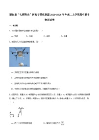 浙江省”七彩阳光“新高考研究联盟2025-2026学年高二上学期期中联考物理试卷（含解析）