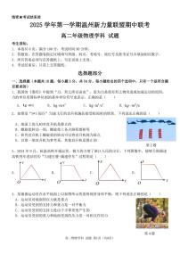 浙江省温州市新力量联盟2025-2026学年高二上学期11月期中物理试卷（含答案）