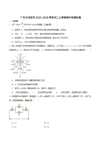 广东省清远市2025-2026学年高二上学期期中考试 物理试卷
