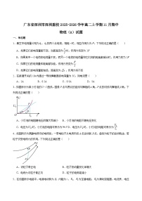 广东省深圳市联盟校2025-2026学年高二上学期期中考试物理（A）试卷（Word版附答案）