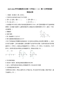 2025-2026学年湖南武冈市第十中学高三（上）第二次学情调研物理试卷（含答案）
