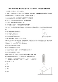2024-2025学年黑龙江省哈尔滨三中高一（上）期末物理试卷（含解析）