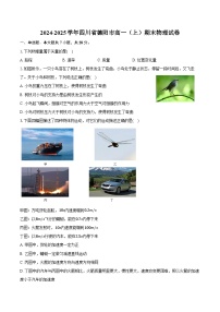 2024-2025学年四川省德阳市高一（上）期末物理试卷（含答案）