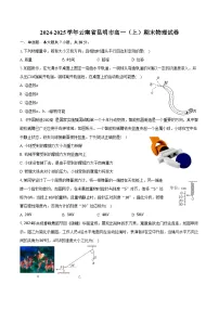 2024-2025学年云南省昆明市高一（上）期末物理试卷（含答案）