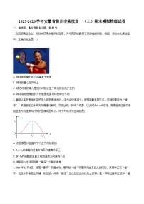 2025-2026学年安徽省滁州市某校高一（上）期末模拟物理试卷（含答案）