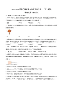 2025-2026学年广西壮族自治区百色市高一（上）联考物理试卷（11月）（含答案）