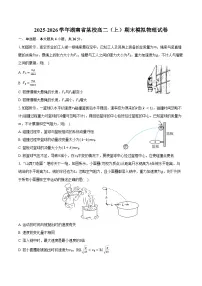 2025-2026学年湖南省某校高二(上)期末模拟物理试卷(含答案)