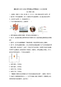 湖北省新八校协作体2025-2026学年高二上学期10月月考（B）物理试卷（学生版）