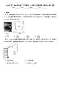 2024年四川省成都市高三上学期第一次诊断性检测理科（物理）综合试题（附解析）