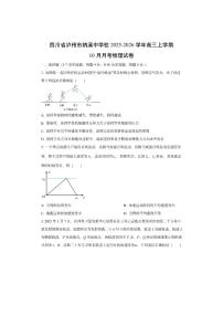 四川省泸州市纳溪中学校2025-2026学年高三上学期10月月考物理试卷（学生版）