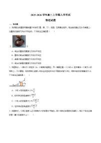 湖南省永州市第一中学2026届高三上学期入学考试 物理试卷（含答案）