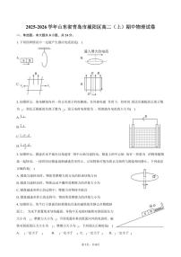 2025-2026学年山东省青岛市城阳区高二（上）期中物理试卷（含答案）