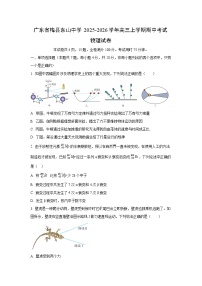 广东省梅县东山中学2025-2026学年高三上学期期中考试物理试卷（学生版）