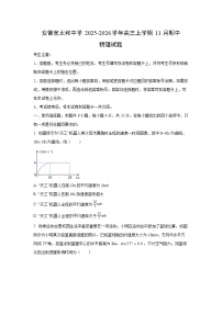 安徽省太和中学2025-2026学年高三上学期11月期中物理试卷（学生版）