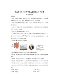 湖北省名校协作2025-2026学年高二上学期10月月考物理试卷（学生版）
