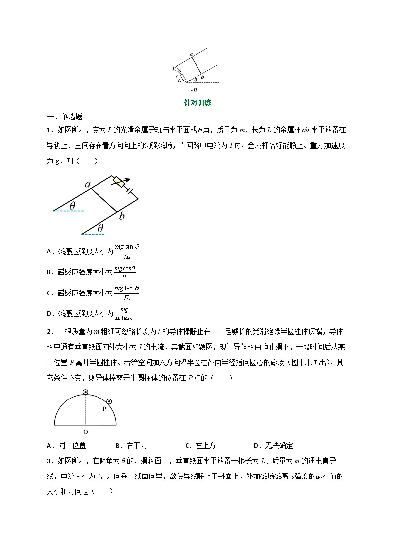 (人教版)选择性必修二高二物理上册期末复习训练专题1安培力作用下导体的运动和平衡问题(原卷版)第3页