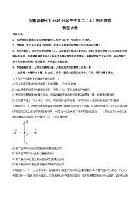 安徽省滁州市2025-2026学年高二（上）期末模拟物理试卷2