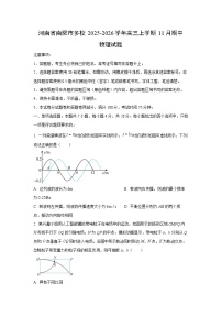 河南省南阳市多校2025-2026学年高三上学期11月期中物理试卷（学生版）