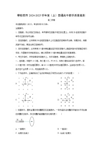 四川省攀枝花市2024-2025学年高二上学期1月期末物理试卷（学生版）
