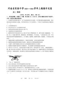 河南省实验中学2025-2026学年高二上学期期中考试物理试卷（含答案）