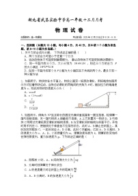 湖北省武昌实验中学2025-2026学年高一上学期12月月考物理试题（Word版附解析）
