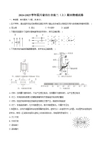 2024-2025学年四川省内江市高二（上）期末物理试卷（含答案）