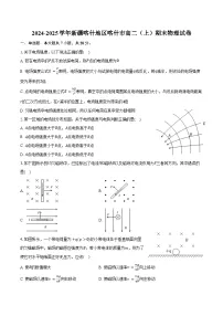 2024-2025学年新疆喀什地区喀什市高二（上）期末物理试卷（含答案）