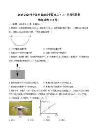 2025-2026学年山东省部分学校高二（上）阶段性检测物理试卷（12月）（含解析）