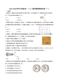 2025-2026学年山东省高一（上）期末模拟物理试卷（一）（含答案）