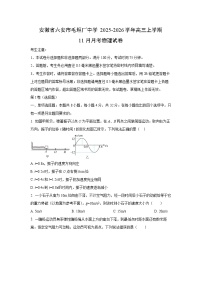 2025-2026学年安徽省六安市毛坦厂中学高三上学期11月月考物理试卷(学生版)