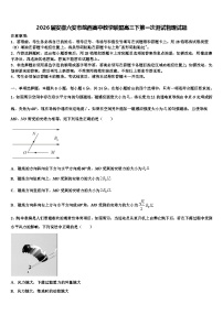 2026届安徽六安市皖西高中教学联盟高三下第一次测试物理试题含解析