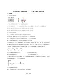 2025-2026学年安徽省高二（上）期末模拟物理试卷（含答案）