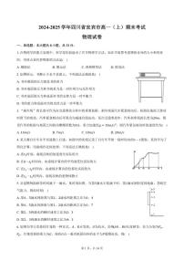 2024-2025学年四川省宜宾市高一（上）期末物理试卷（含解析）
