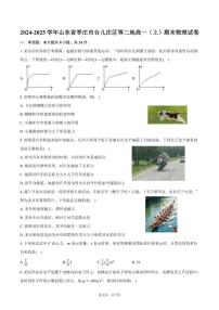 2024-2025学年山东省枣庄市台儿庄区等二地高一（上）期末物理试卷（含答案）