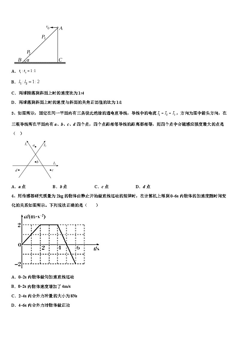2026届安徽省合肥新城高升学校高考物理倒计时模拟卷含解析第2页