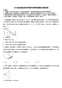 2026届安徽省合肥市寿春中学高考物理倒计时模拟卷含解析