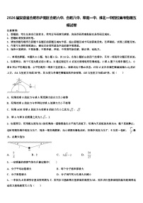 2026届安徽省合肥市庐阳区合肥六中、合肥八中、阜阳一中、淮北一中四校高考物理五模试卷含解析