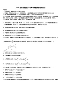 2026届安徽省黄山一中高考考前模拟物理试题含解析