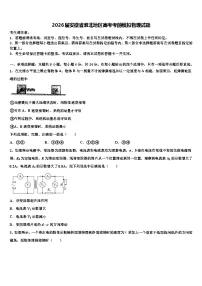 2026届安徽省淮北地区高考考前模拟物理试题含解析