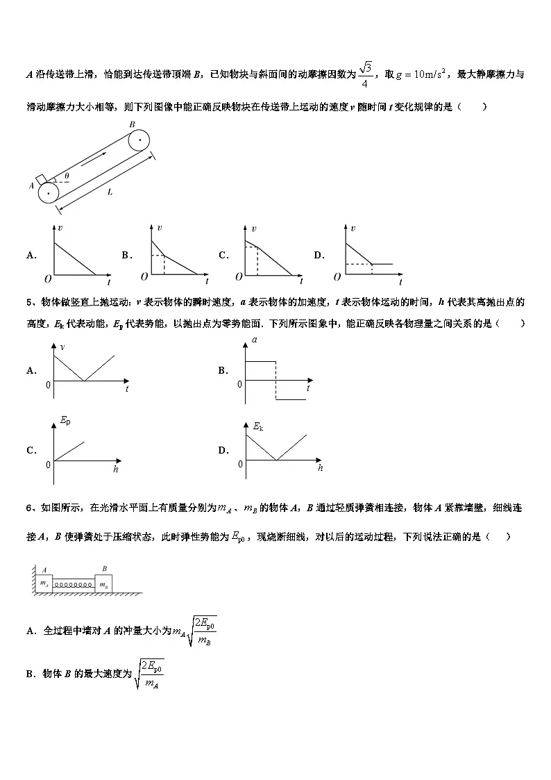 2026届安徽省淮南市重点中学高考物理三模试卷含解析第2页