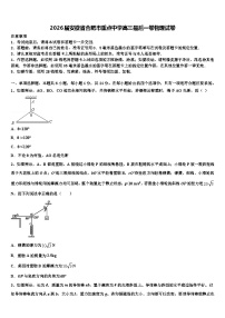 2026届安徽省合肥市重点中学高三最后一卷物理试卷含解析